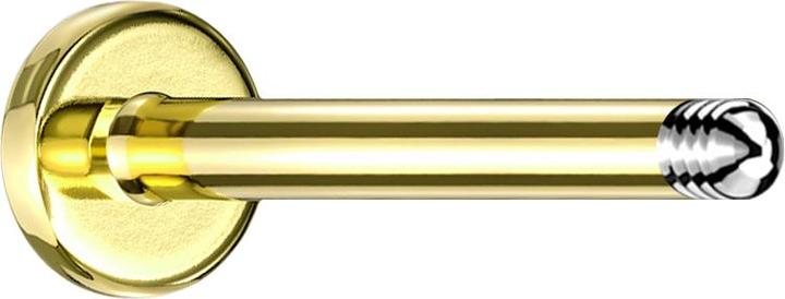 Image du produit Star Piercing Bâton de labret doré (Acier chirurgical 316L)