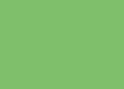 Immagine prodotto Clairefontaine Trophée (160 g/m², 250 x, A4)