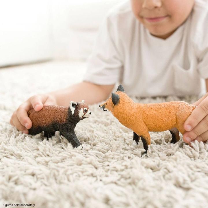 Actual product image Safari Cat bear