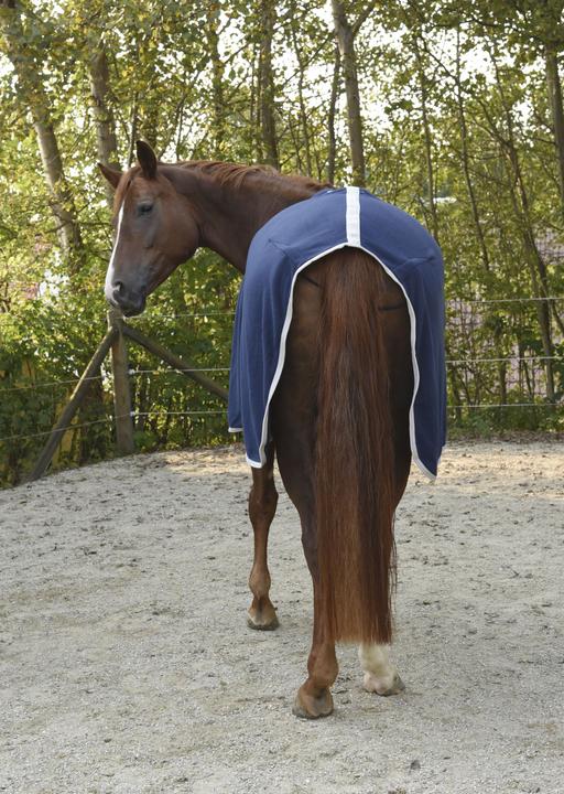 Actual product image Kerbl RugBe (145 cm)