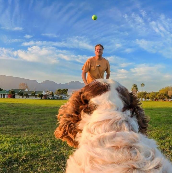 Image du produit Insta360 GO 3/GO 3S Pet Harness Mount Si (Aller 3)
