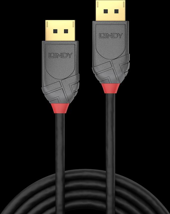 Image du produit Lindy DisplayPort — DisplayPort (0.50 m, DisplayPort)
