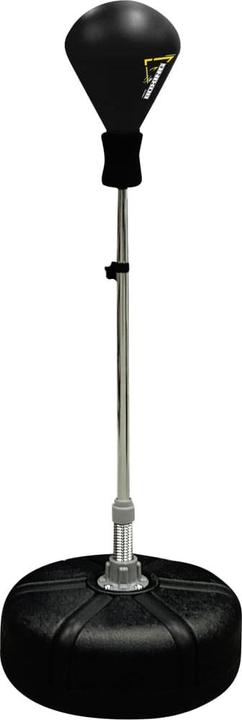 Actual product image Avento Punching ball (48 cm, 7.67 kg)