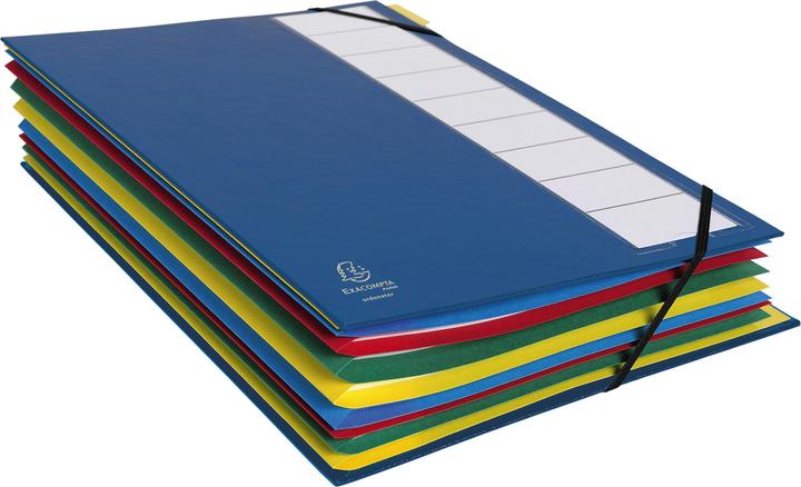 Actual product image Exacompta Ordnungsmappe (A4, 1 x)