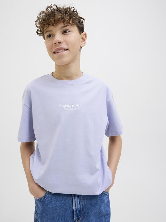 Produktbild Jack & Jones Jorvesterbro Tee Ss Crew Neck Noos Jnr (164)