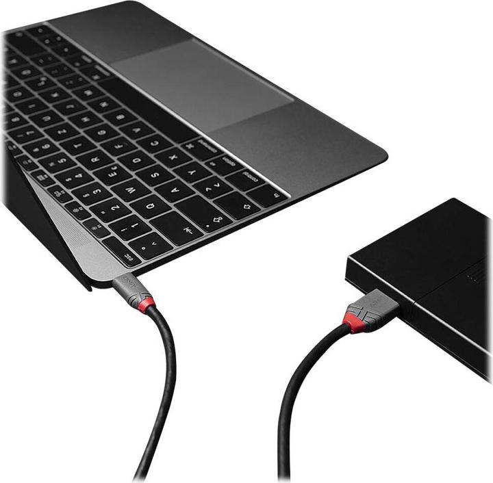 Actual product image Lindy USB 3.2 Type C to Micro-B Cable, Anthra Line (1 m)