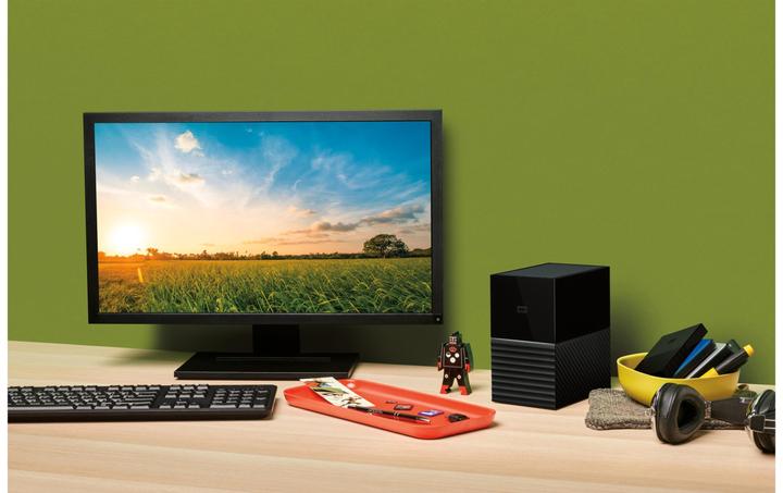 Image du produit WD My Book Duo (20 To)