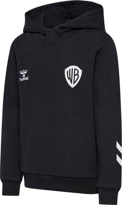 Image du produit hummel Hmlcelebrating Story Hoodie (134)