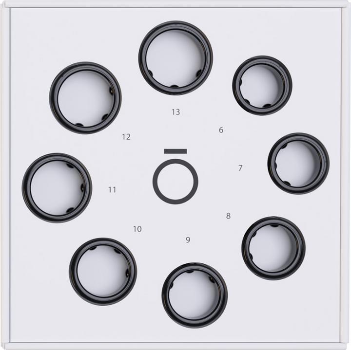 Actual product image Oura Ring Gen3 Sizing Kit