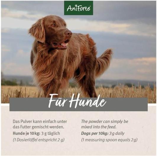 Produktbild AniForte 4in1 Complete Dog (Adult, 1 Stk., 250 g)