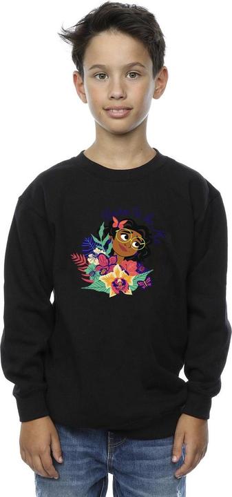Image du produit Disney - Sweat ENCANTO BORN TO BE ME - Garçon (140, 146)
