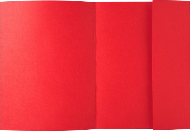 Produktbild Exacompta Sammelmappen - Aktendeckel (A4, 50 x)
