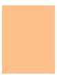 Actual product image NYX Professional Make-Up Bare With Me Concealer Serum (5 Golden)