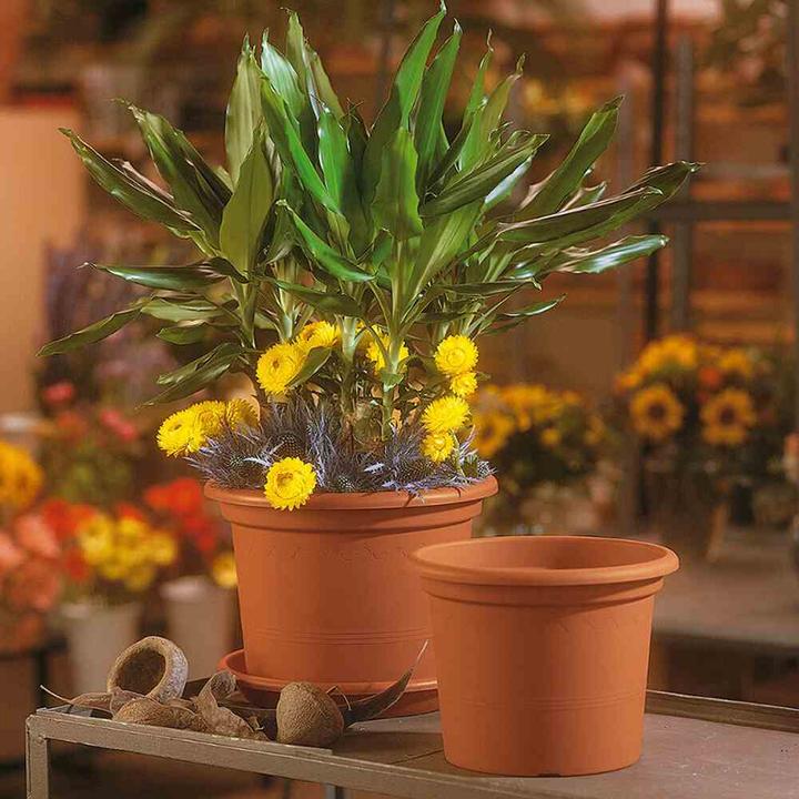Produktbild Euro3plast Pflanzkübel (25 cm)