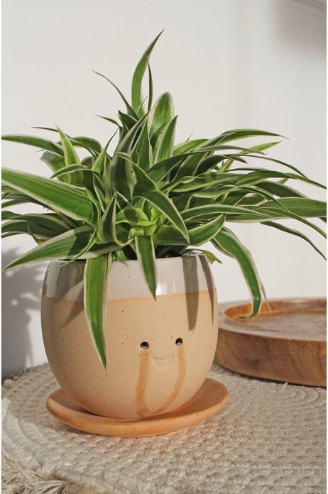Produktbild Mags Blumentopf: Glückstränen (1 x, 14 x 14 x 14 cm)