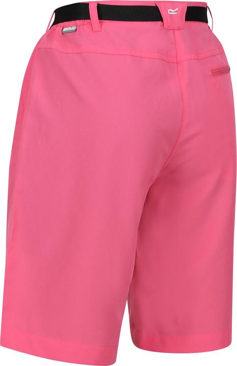 Actual product image Regatta Womens/Ladies Xert Stretch Shorts (36)