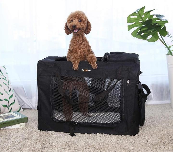 Immagine prodotto Feandrea Cozy Dog (Cane, Traspirante)