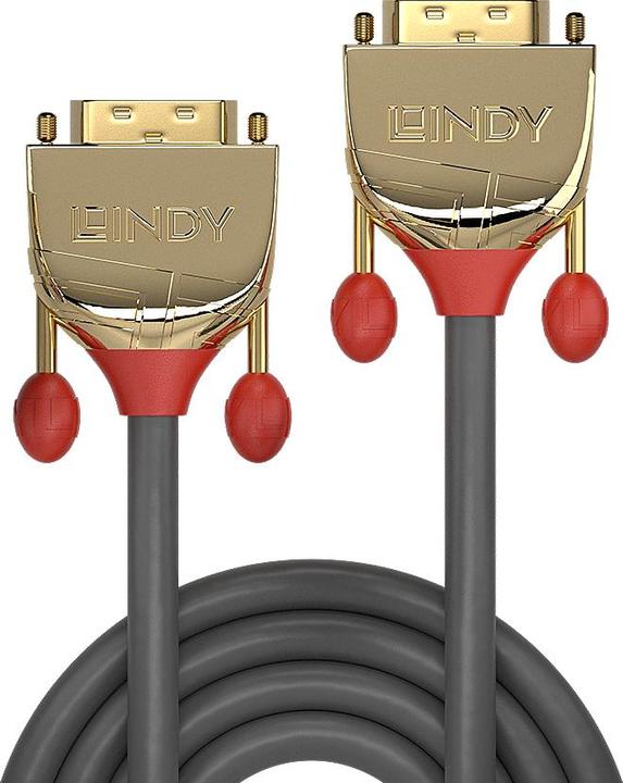 Actual product image Lindy Dvi — Dvi (0.50 m, DVI)