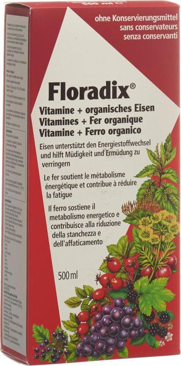 Actual product image Floradix Iron (1 Piece, Liquid, 600 g)