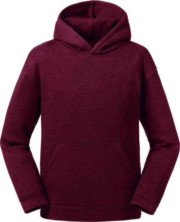 Russell Authentic Sweatshirt Mit Kapuze