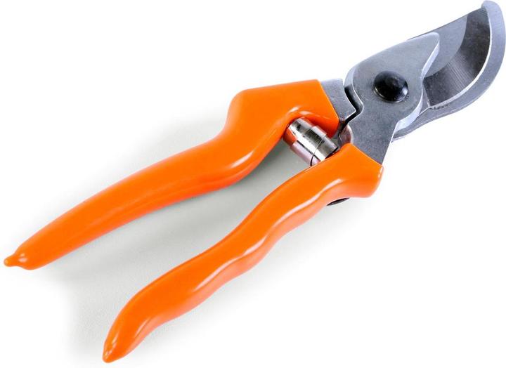 Immagine prodotto Fuxtec Forbici da potatura Basic 20 cm