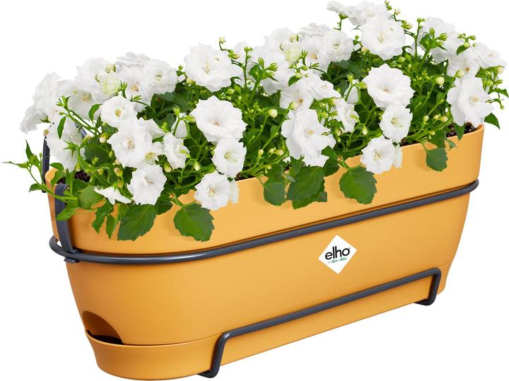 Produktbild Elho Vibia Campana Balkonkasten Allin1 (26 cm)