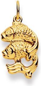 Actual product image Natsumi Schmuck Pendant Zodiac Fish Yellow Gold 18K/750 Large (750/18 K Yellow gold)