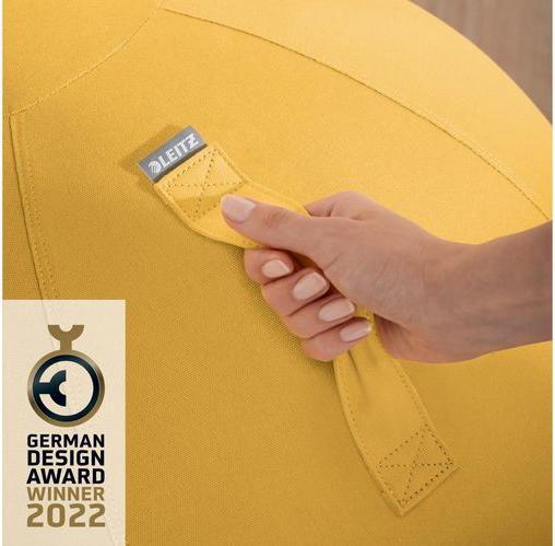 Image du produit Leitz Ballon-siège Ergo Cosy Active (65 cm)