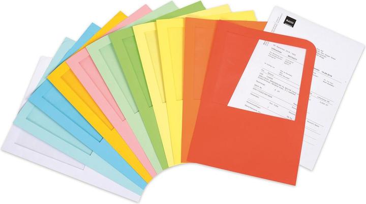 Immagine prodotto Elco Tasche di trasporto Ordo (A4, 100 x)