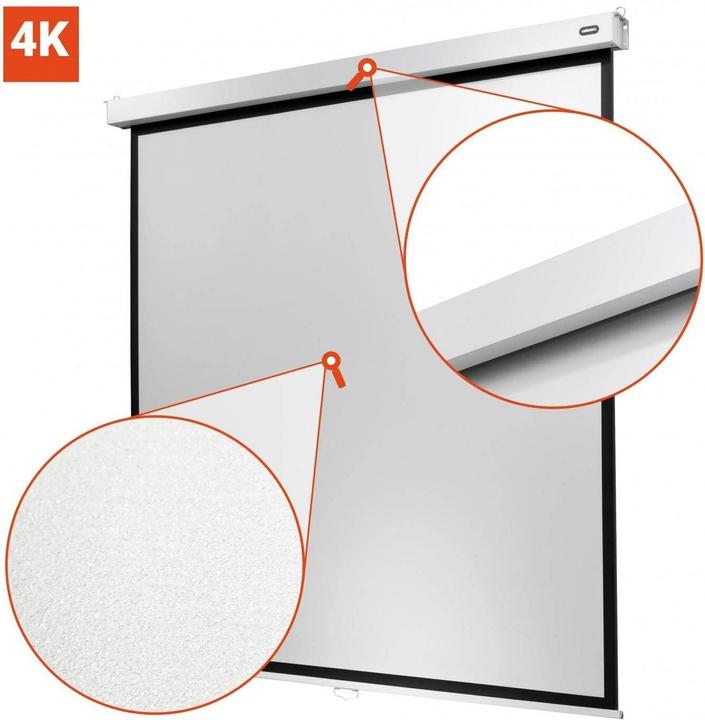 Produktbild Celexon Manual Professional Plus Business Format (92.91", 16:10)