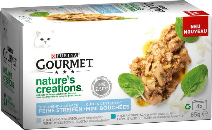 Actual product image Gourmet Nature's Creation (Adult, 1 pcs., 340 g)
