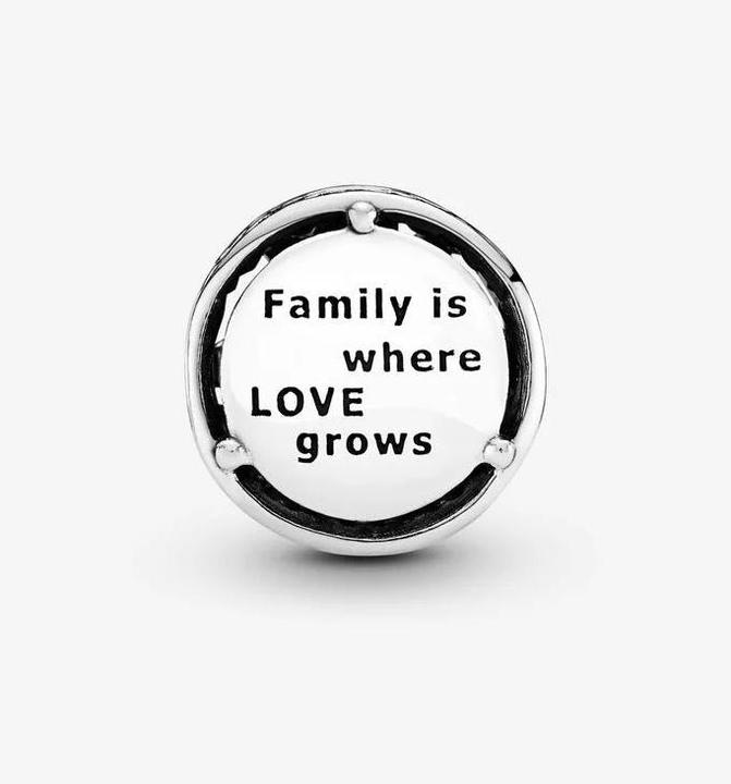 Image du produit Pandora Charm Hommage Familial (Argent)