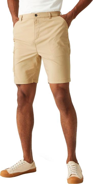 Actual product image Regatta Mens Dalry Multi Pocket Shorts (33)