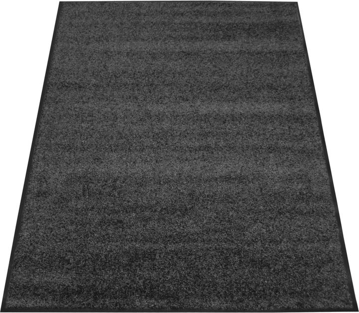 Actual product image Miltex Dirt-trapping mat EAZYCARE COLOR, 1200 x 1800 mm, grey (120 x 180 cm)