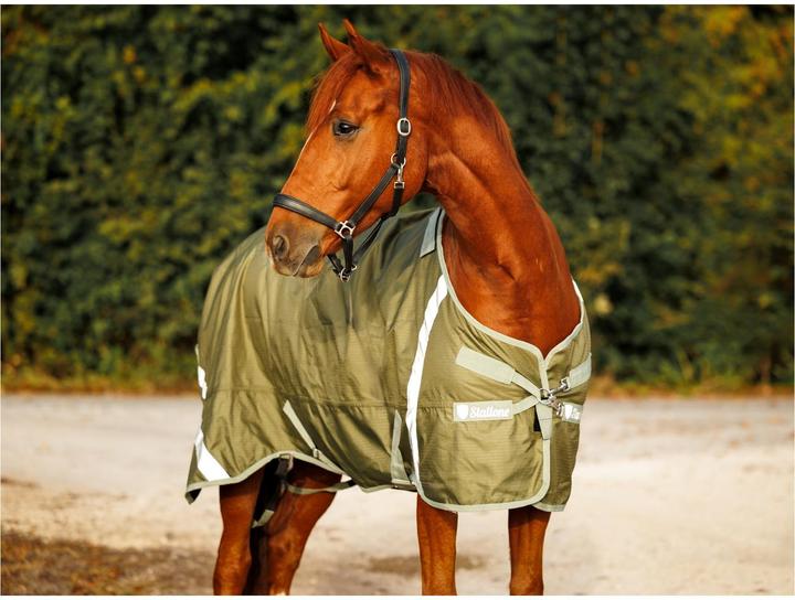 Image du produit Stallone Couverture de pré 50 g Outdoor Guard (145 cm)
