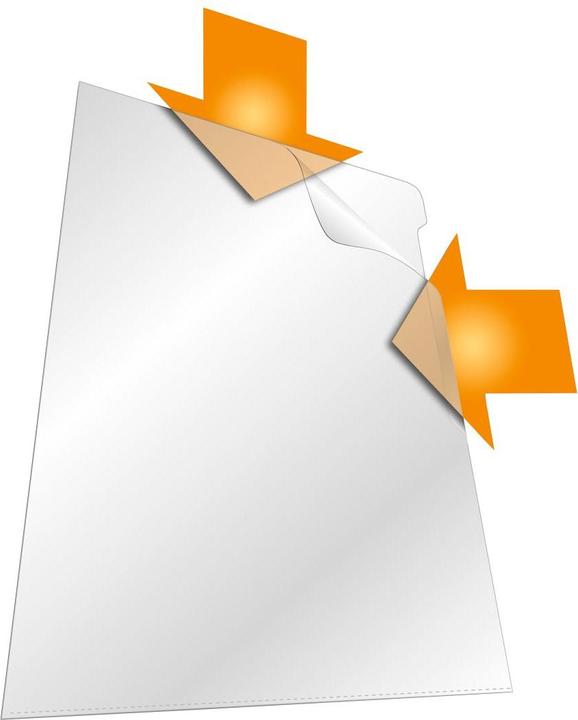 Immagine prodotto Durable Cartella STANDARD, DIN A4, PP, 0,12 mm, grana (A4, 10 x)
