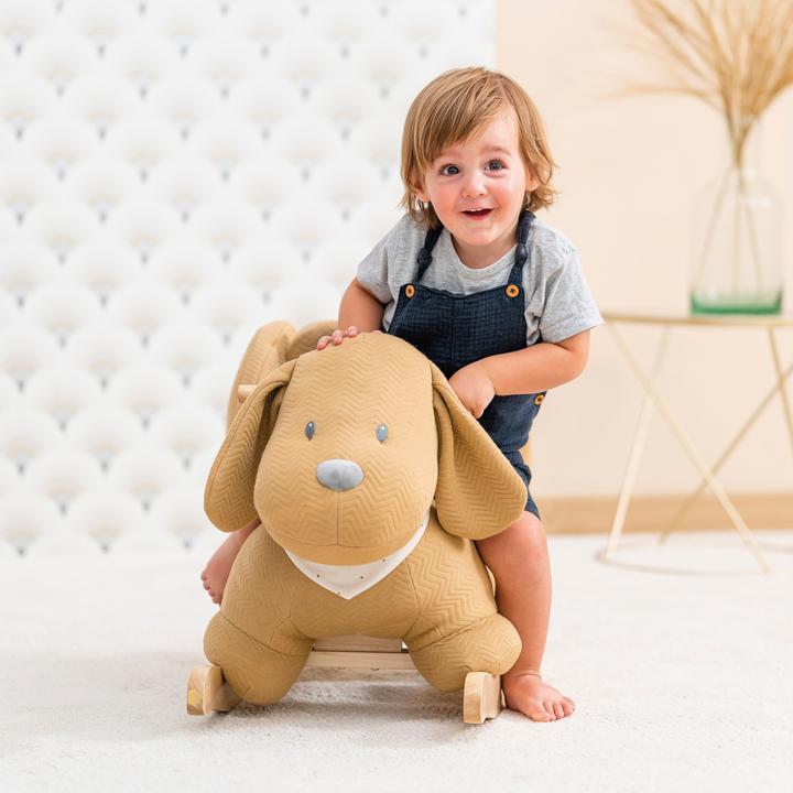 Produktbild Nattou Charlie Schaukeltier Hund