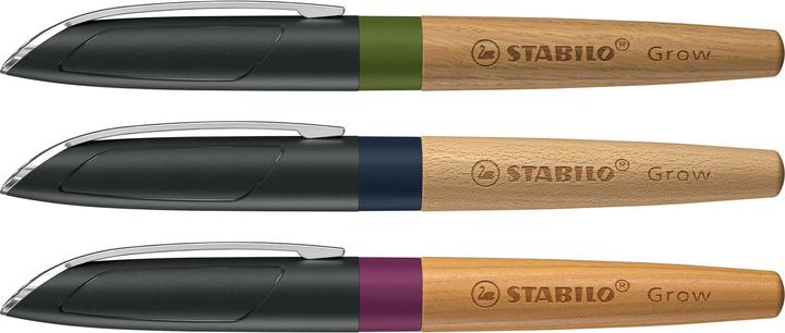 Actual product image STABILO Grow Fountain Pen 12 Display (Assorted, 12 x)