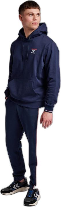 Actual product image hummel Ic Dayton Hoodie (XS)
