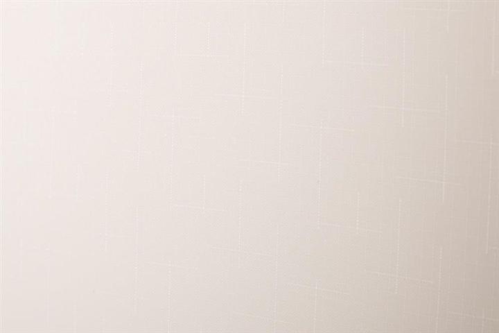 Immagine prodotto Domoletti TENDA A RULLO SHANTUNG 875 90X230 (105 x 45 cm)