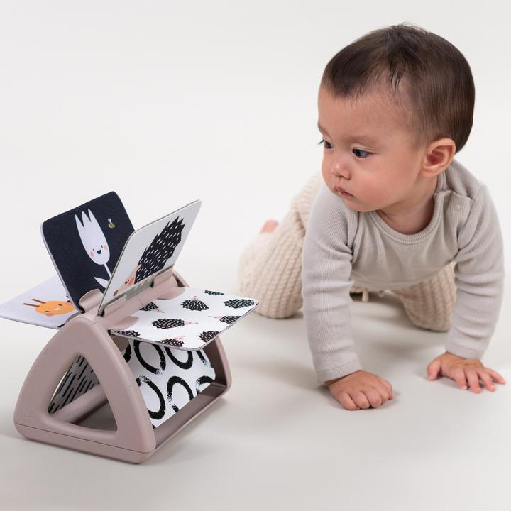 Image du produit Taf Toys Black & White (Allemand, Français, Italien, Anglais, Suisse-allemand)