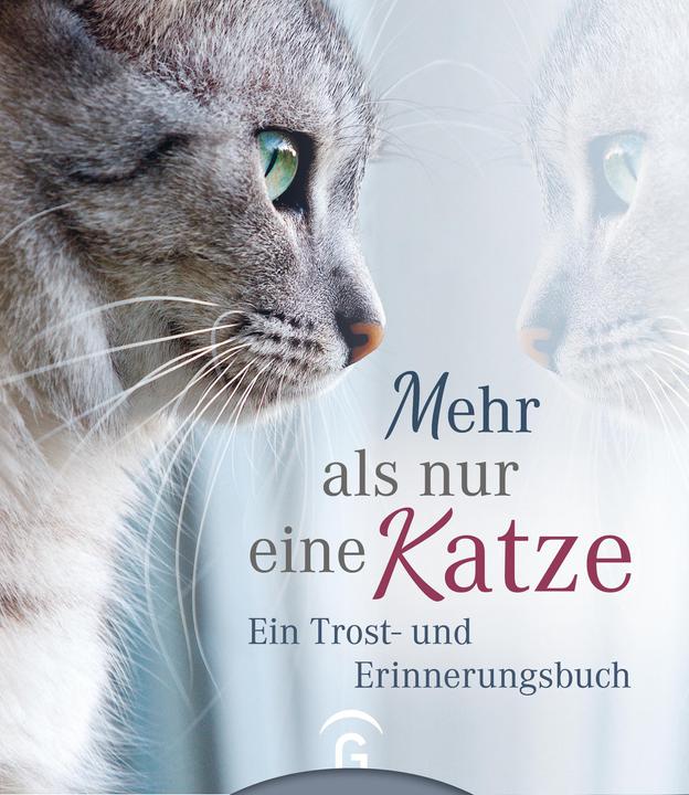 Produktbild Mehr als nur eine Katze (Deutsch, Kristin Hoffmann, 2019)