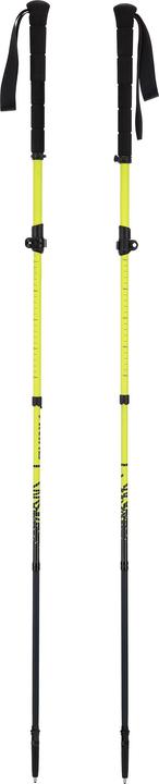 Actual product image Vikingsports Licaon walking poles