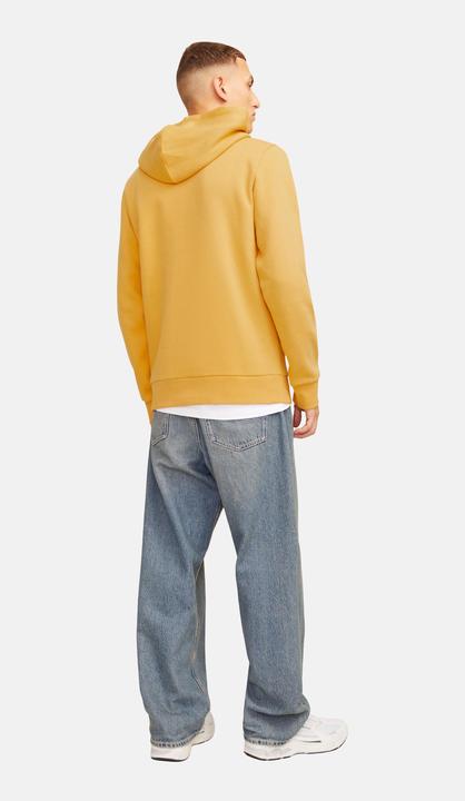 Actual product image Jack & Jones JJELOGO SWEAT HOOD 2 COL 24/25 NOOS (XXL)