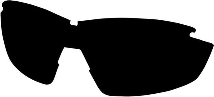 Immagine prodotto Edge Eyewear Polarisierte Ersatzgläser für OVERLORD, Polarized Smoke Lens