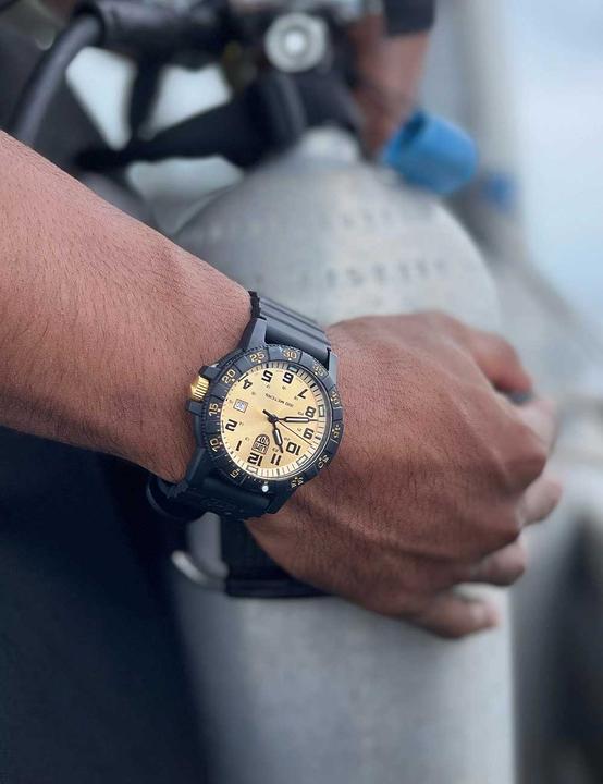 Immagine prodotto Luminox Turgone Dalla Schiena Di Pelle Serie Gian 0320 (Orologio sub, 44 mm)