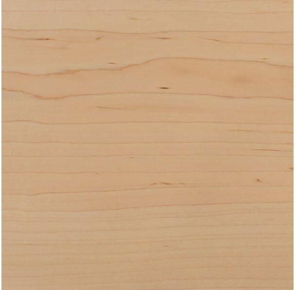 Actual product image Cricut Cherry