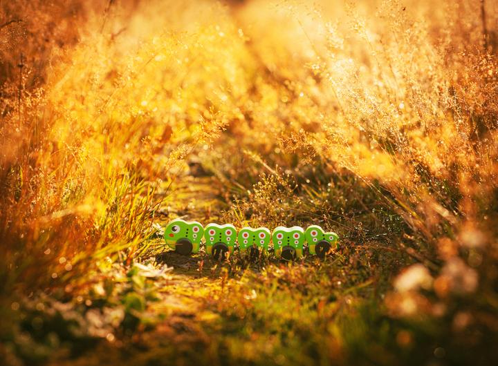 Produktbild Cubika Regenbogenwurm-Lernzahlen aus Holz 15399