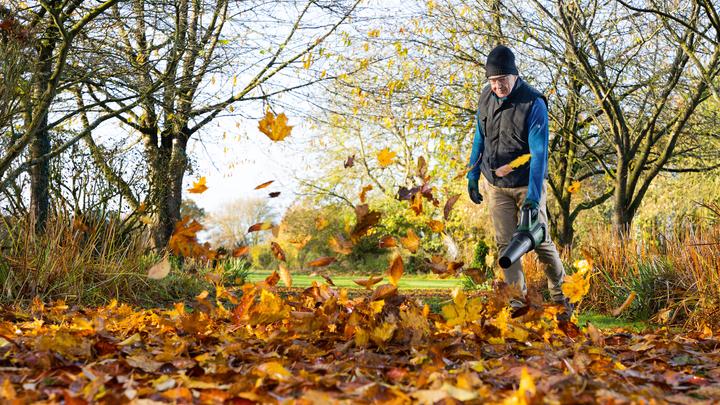 Produktbild Bosch Home & Garden AdvancedLeafBlower 36V-750 (Akkubetrieb, Laubbläser)