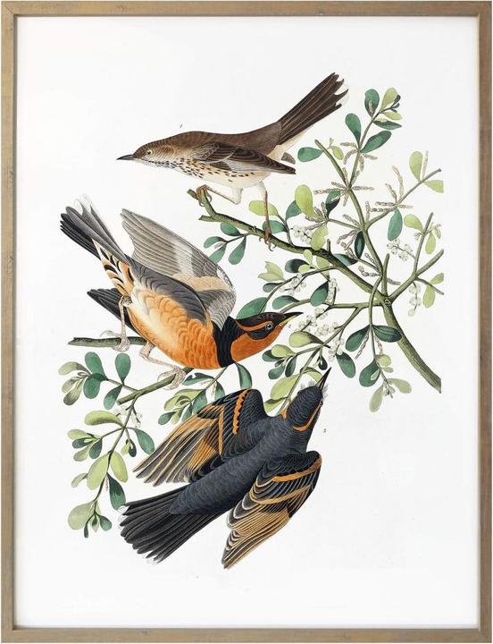 Immagine prodotto Trenddeko Tre strozzatori (50 x 60 cm)